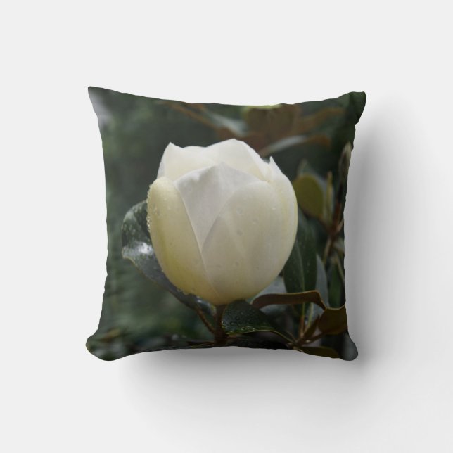 Magnolia Grandiflora Throw Pillow (Front)