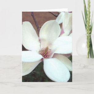 Magnolia Greeting Card