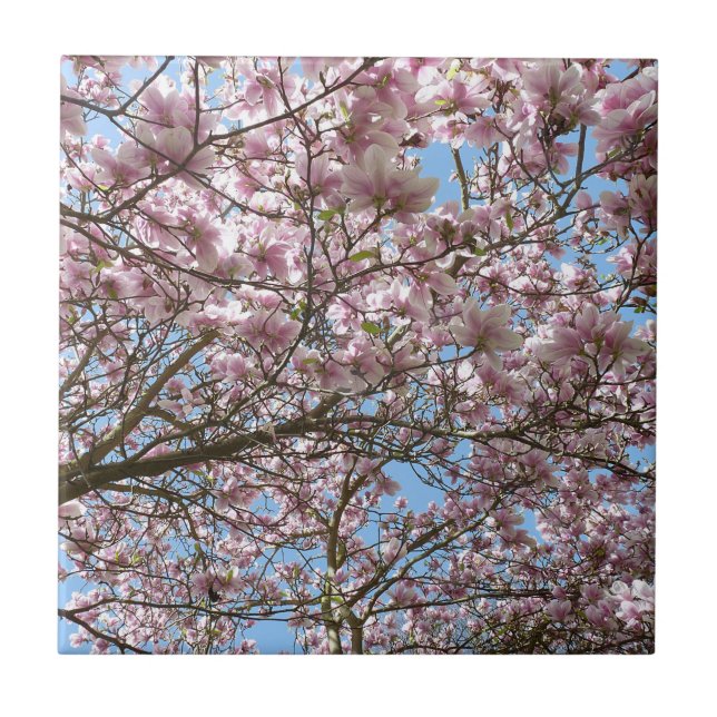 Magnolia in April Tile (Front)