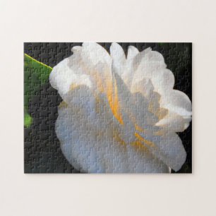 Magnolia Light Jigsaw Puzzles