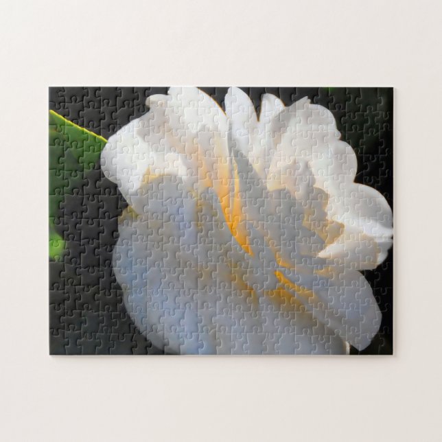 Magnolia Light Jigsaw Puzzles (Horizontal)
