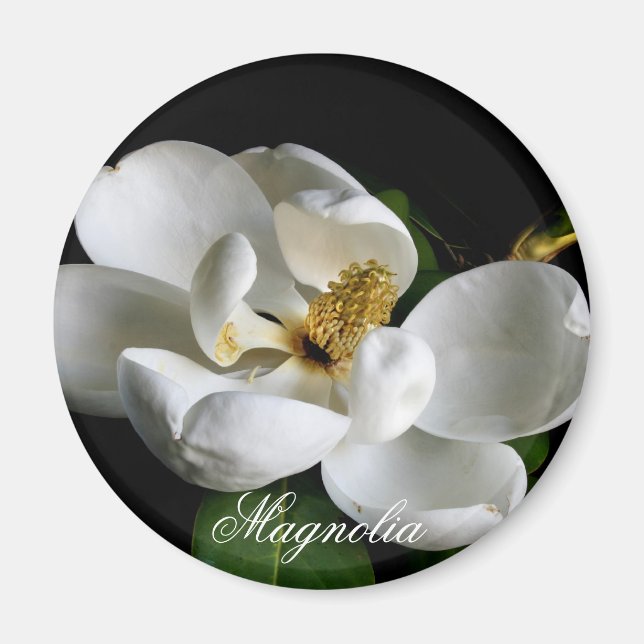 Magnolia Magnet (Front)