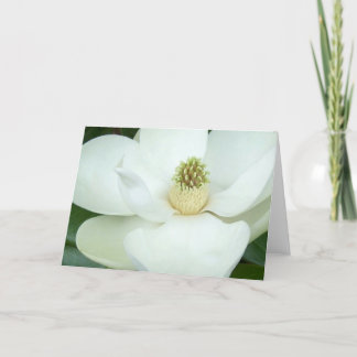 Magnolia magnified card