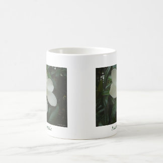 Magnolia Mug