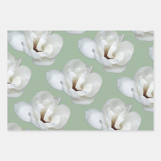 Magnolia on green wrapping paper sheet (Front)