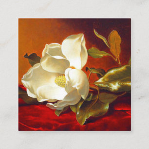 Magnolia on Red Velvet Martin Johnson Heade Enclosure Card