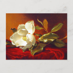 Magnolia on Red Velvet Martin Johnson Heade Postcard