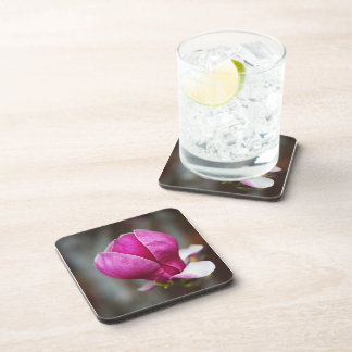 Magnolia Pink Full Bloom Coaster