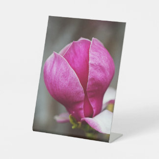 Magnolia Pink Full Bloom Pedestal Sign