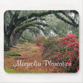 Magnolia Plantation / Charleston SC Mousepad