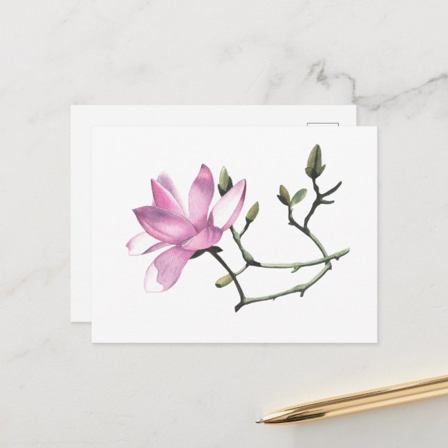 Magnolia Postcard (Front/Back In Situ)