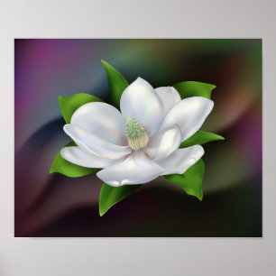 Magnolia Poster