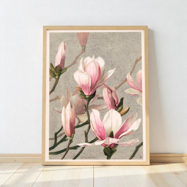 Magnolia Poster (Creator Uploaded)