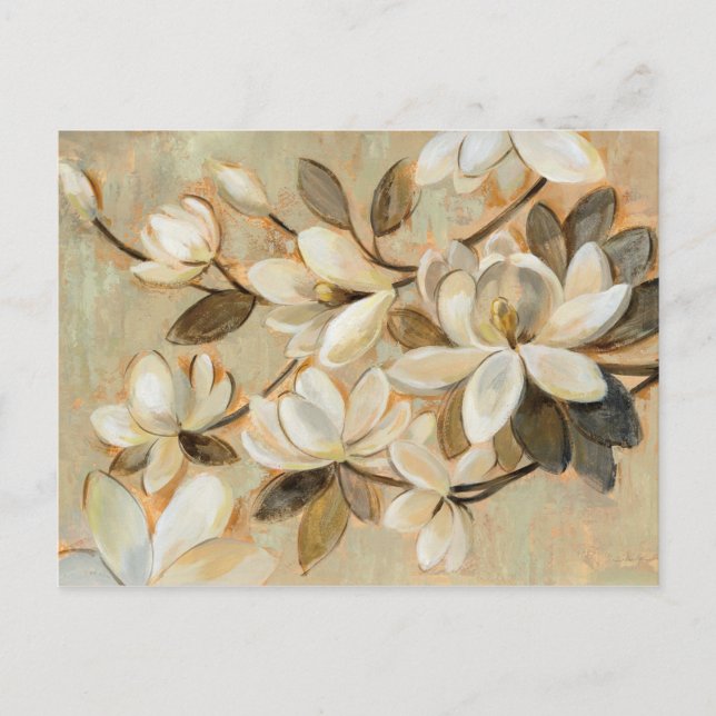 Magnolia Simplicity Cream Postcard (Front)
