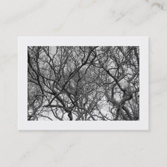 Magnolia Tree Branches B&W (Bordered) Business Card (Front)