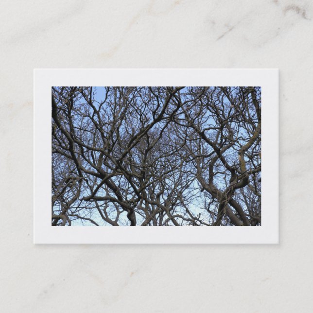 Magnolia Tree Branches (Bordered) Business Card (Front)