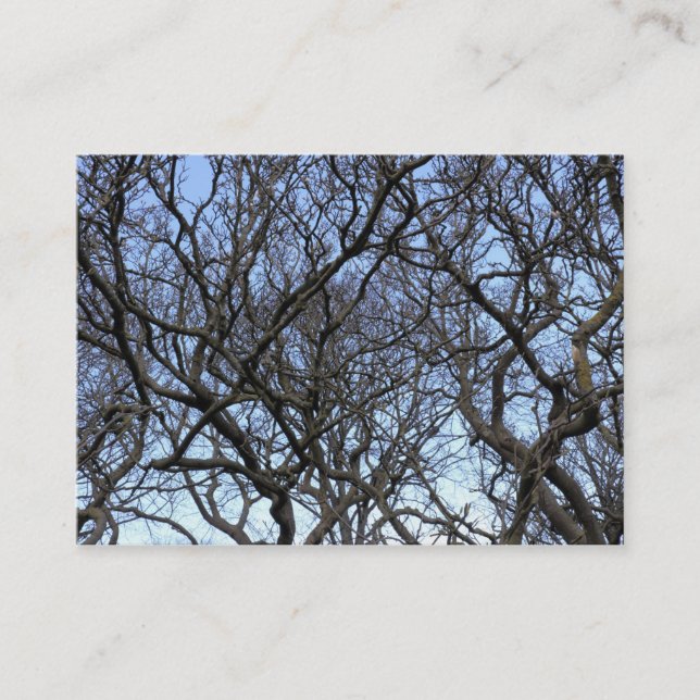 Magnolia Tree Branches Business Card (Front)