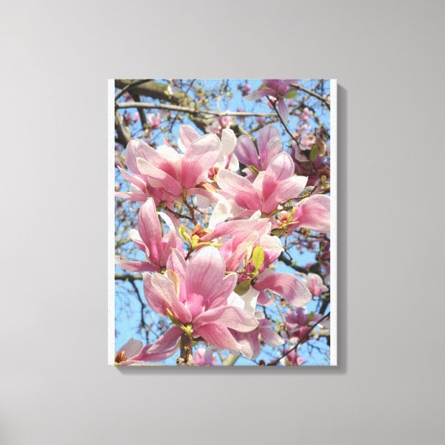 Magnolia Tree Canvas Print (Front)