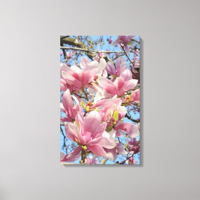 Magnolia Tree Canvas Print (Front)