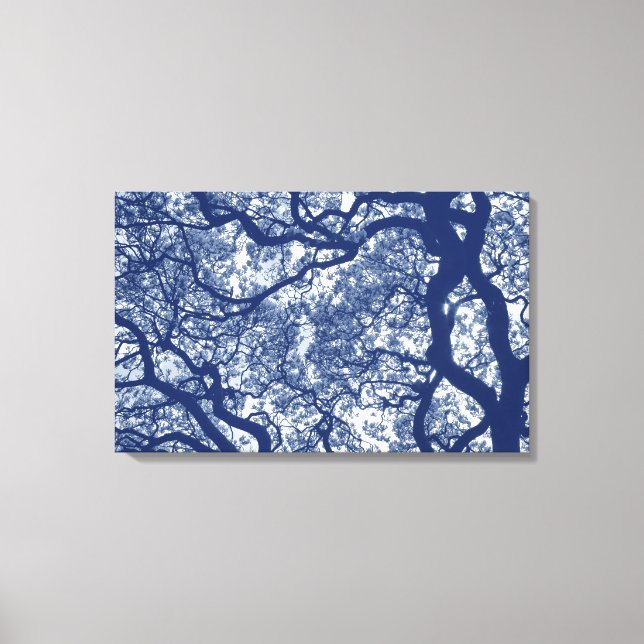 Magnolia Tree - Cyanotype Effect Canvas Print (Front)