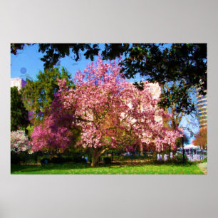 Magnolia Tree Digital Art Painting Poster