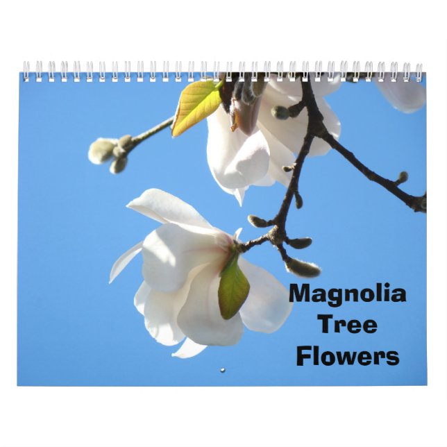 Magnolia Tree Flowers Photography Calendars (Cover)