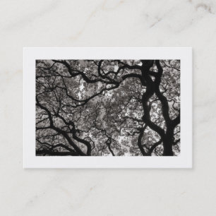 Magnolia Tree in Blossom 02 (Bordered) Business Card