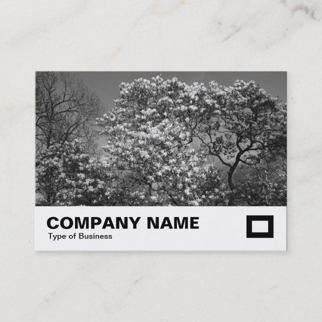 Magnolia tree in Blossom (B&W) Business Card (Front)