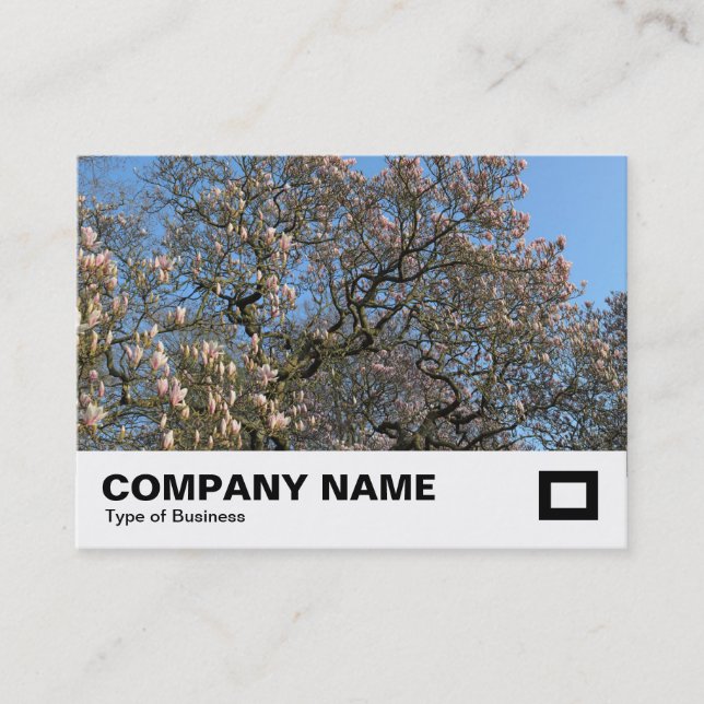 Magnolia Tree in Blossom Business Card (Front)