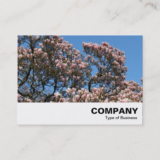Magnolia Tree in Blossom Business Card (Front)