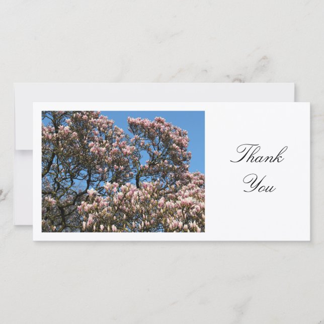 Magnolia Tree in Blossom - Thank You (Front)