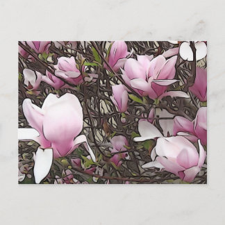 Magnolia Tree Postcard
