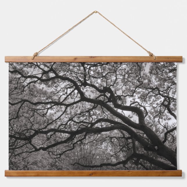 Magnolia Trees in Blossom 01 Hanging Tapestry (Front)