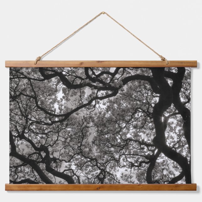 Magnolia Trees in Blossom 02 Hanging Tapestry (Front)