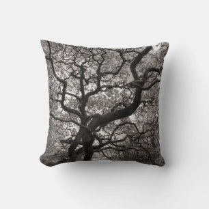 Magnolia Trees in Blossom 03 Throw Pillow
