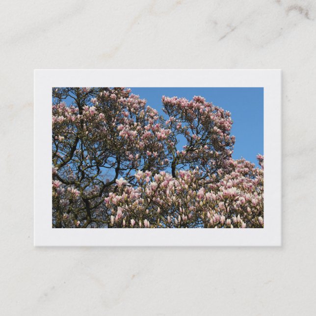 Magnolia Trees in Blossom (Bordered) Business Card (Front)