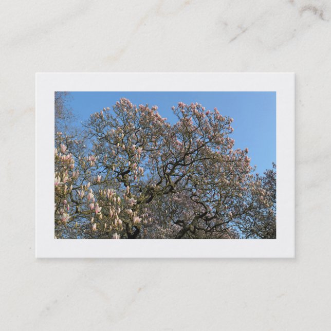 Magnolia Trees in Blossom (Bordered) Business Card (Front)