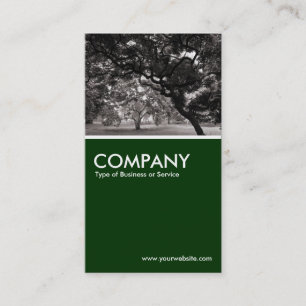 Magnolia Trees - Warm BW - Dark Green Business Card