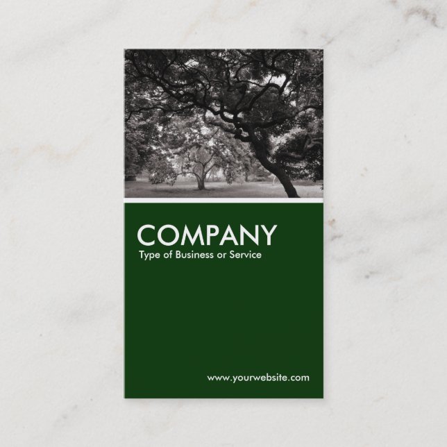 Magnolia Trees - Warm BW - Dark Green Business Card (Front)