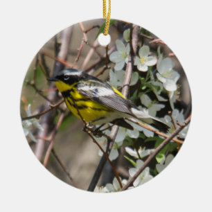 Magnolia Warbler Ceramic Ornament