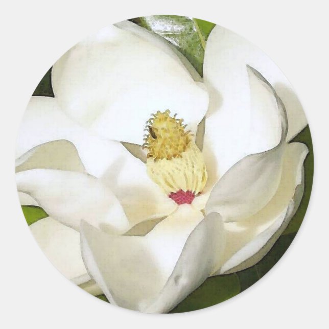 Magnolia White Classic Round Sticker (Front)