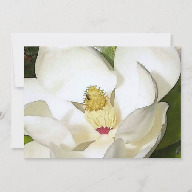 Magnolia White Invitation - Floral Art Invites (Front)