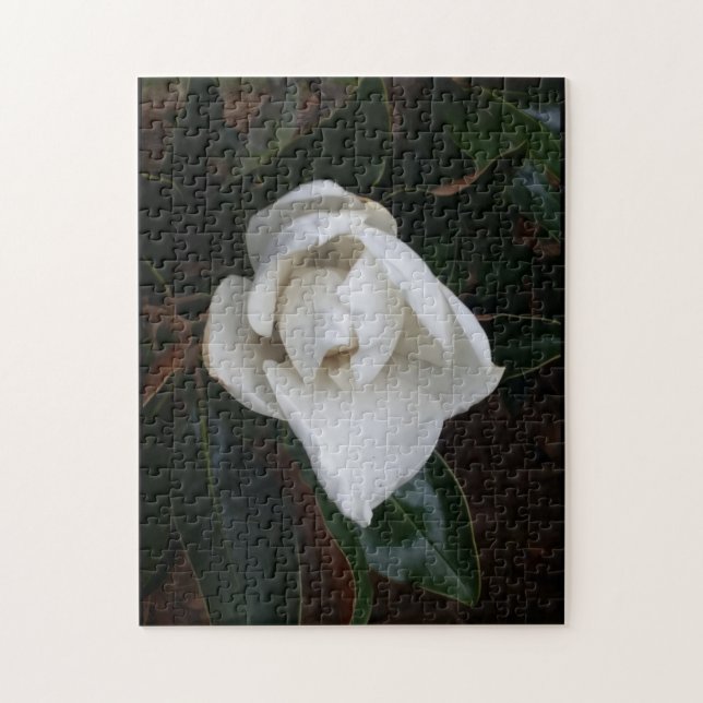 magnolias 1 jigsaw puzzle (Vertical)