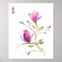 Magnolias in Spring Light
