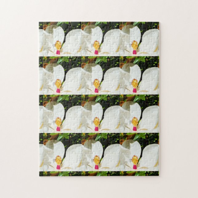 Magnolias Jigsaw Puzzle (Vertical)