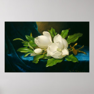 Magnolias - Martin Johnson Heade Fine Art Poster