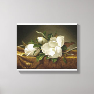 Magnolias on Gold Velvet Cloth by Martin Johnson H Canvas Print