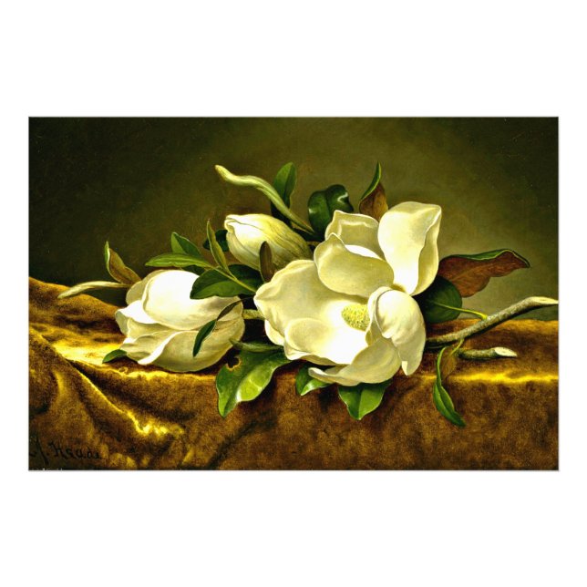 Magnolias on Gold Velvet Cloth Photo Print (Front)
