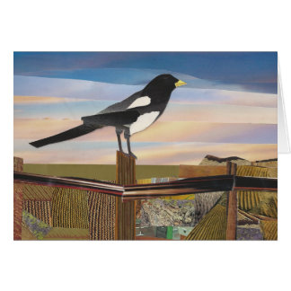 Magpie