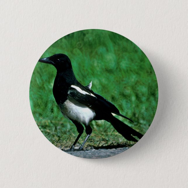 Magpie 2 Inch Round Button (Front)